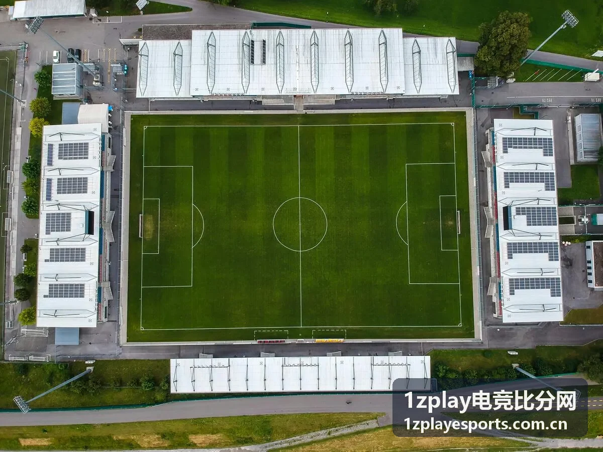 1zplay电竞比分网数据分析场景